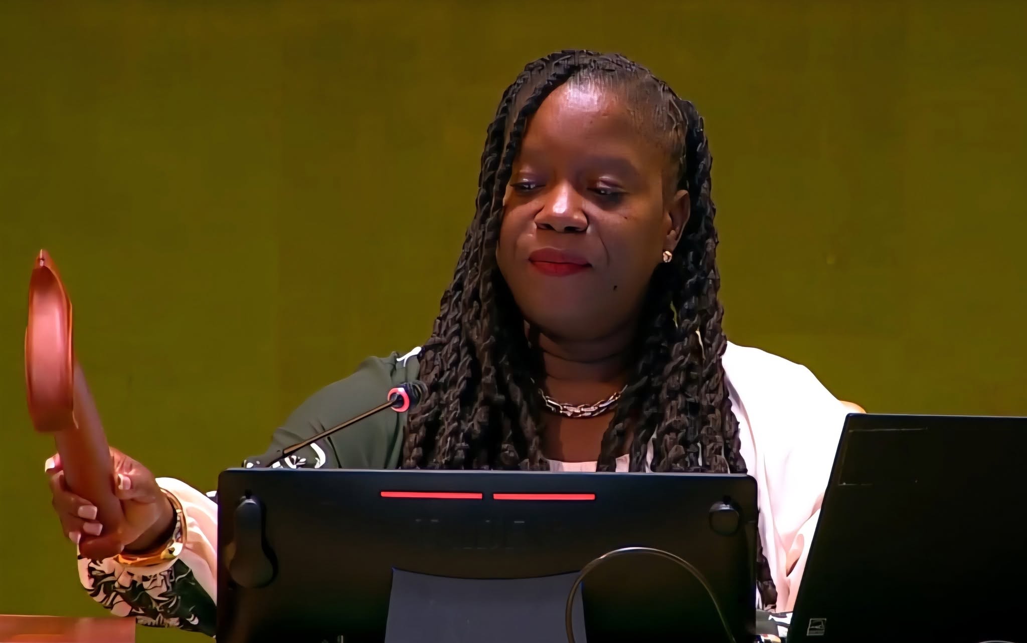 Saint Kitts and Nevis at the Forefront of UN Initiative Proclaiming Decade of Culture for Sustainable Development
