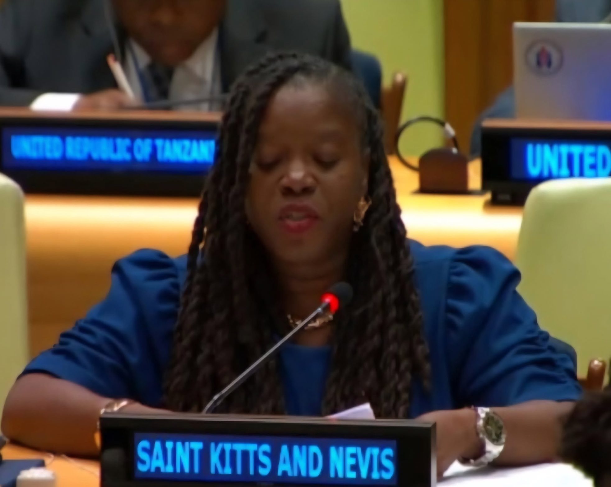 St. Kitts and Nevis Delivers CARICOM Statement on International Disaster Protection at the United Nations